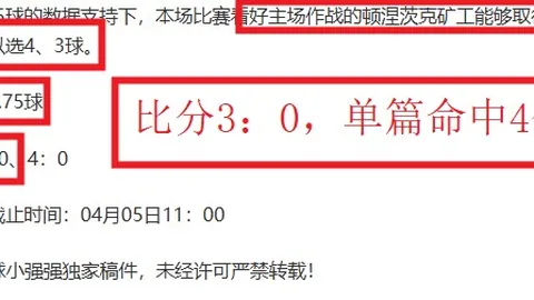 中国荷球运动：亚洲荷球联副主席展望发展态势
